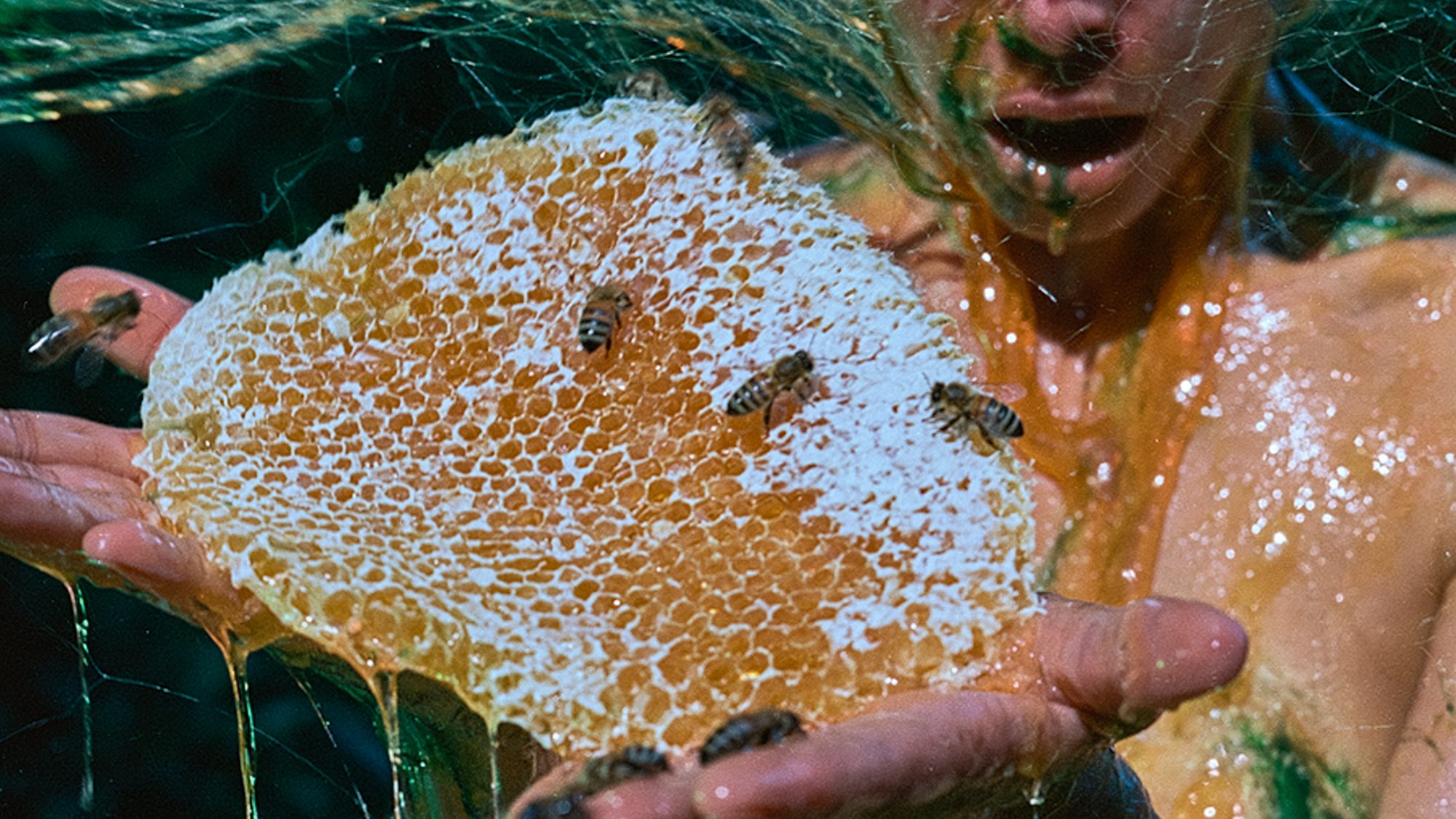 Performerin hält eine tropfende Honigwabe mit Bienen in beiden Händen